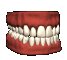 dentiera 2.gif